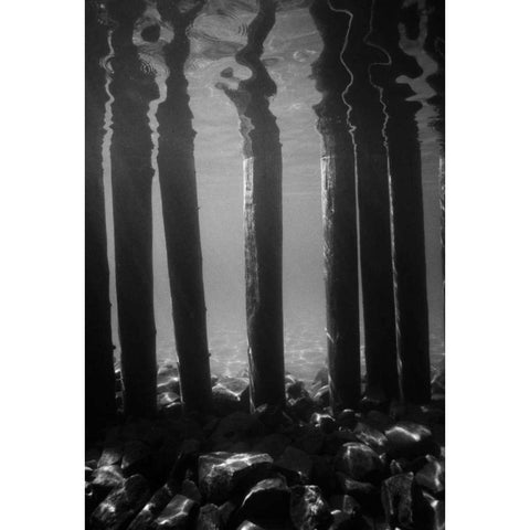 Pier Pilings V Black Modern Wood Framed Art Print with Double Matting by Peterson, Lee