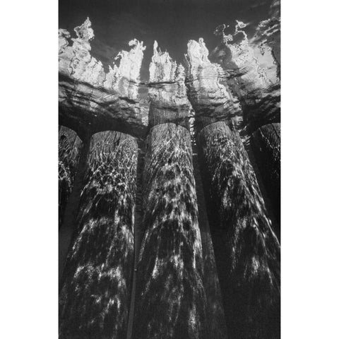 Pier Pilings VII Black Modern Wood Framed Art Print with Double Matting by Peterson, Lee