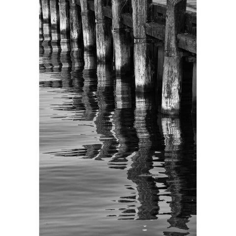 Pier Pilings VIII Gold Ornate Wood Framed Art Print with Double Matting by Peterson, Lee