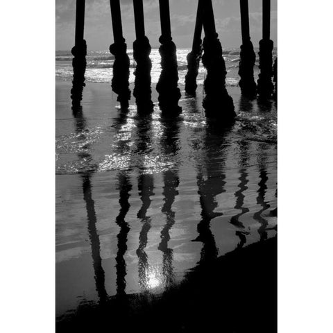 Pier Pilings IX White Modern Wood Framed Art Print by Peterson, Lee