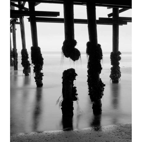 Pier Pilings X White Modern Wood Framed Art Print by Peterson, Lee