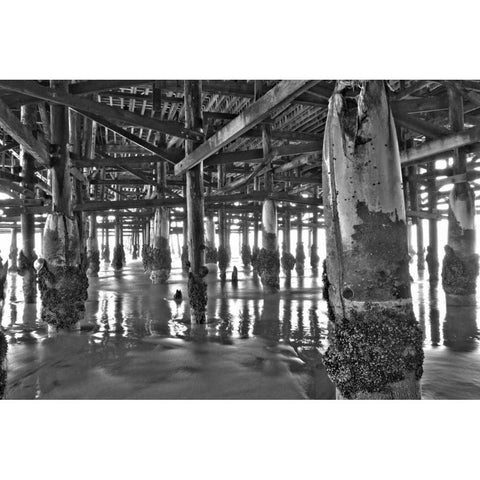 Pier Pilings XI White Modern Wood Framed Art Print by Peterson, Lee