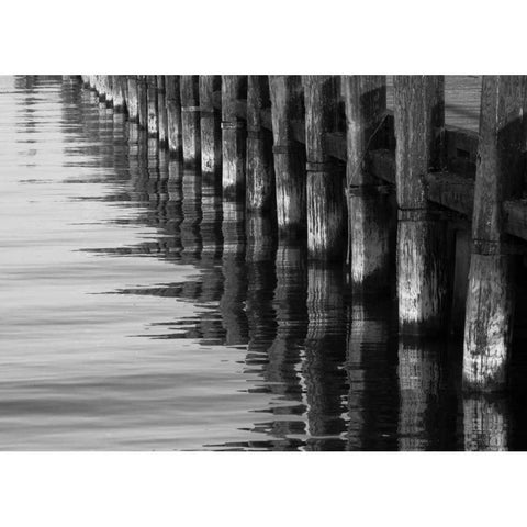 Pier Pilings XII Black Modern Wood Framed Art Print with Double Matting by Peterson, Lee