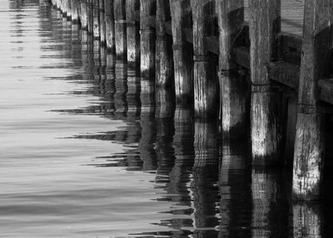 Pier Pilings XII White Modern Wood Framed Art Print with Double Matting by Peterson, Lee