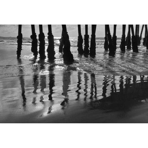 Pier Pilings XIII Black Modern Wood Framed Art Print with Double Matting by Peterson, Lee