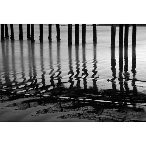 Pier Pilings XIV Black Modern Wood Framed Art Print with Double Matting by Peterson, Lee