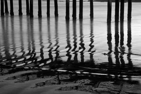 Pier Pilings XIV Black Ornate Wood Framed Art Print with Double Matting by Peterson, Lee