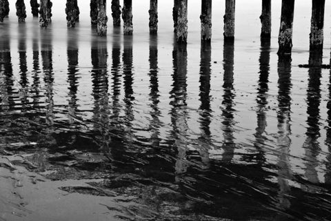 Pier Pilings XV Black Ornate Wood Framed Art Print with Double Matting by Peterson, Lee