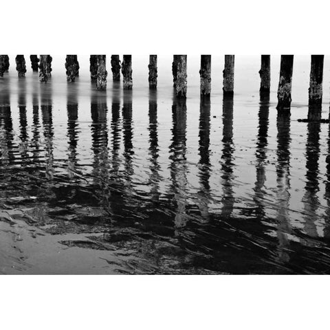 Pier Pilings XV White Modern Wood Framed Art Print by Peterson, Lee