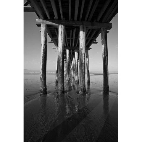 Pier Pilings XVI Black Modern Wood Framed Art Print with Double Matting by Peterson, Lee