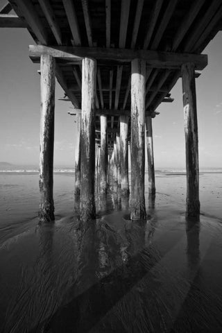 Pier Pilings XVI Black Ornate Wood Framed Art Print with Double Matting by Peterson, Lee