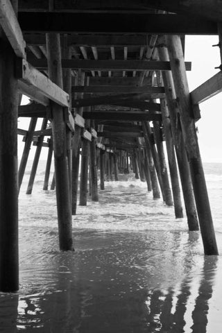 Pier Pilings XVIII Black Ornate Wood Framed Art Print with Double Matting by Peterson, Lee