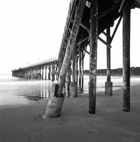 Pier Pilings XIX White Modern Wood Framed Art Print with Double Matting by Peterson, Lee