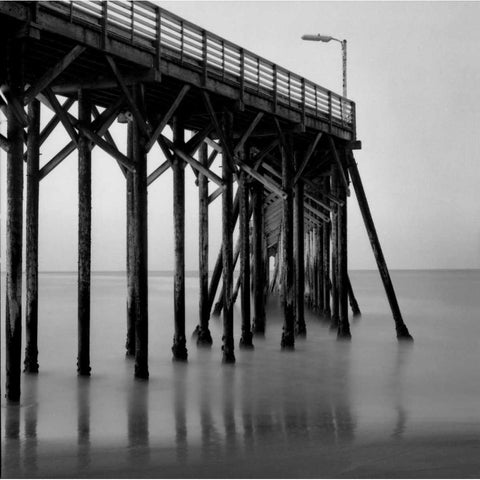 Pier Pilings XX Black Modern Wood Framed Art Print with Double Matting by Peterson, Lee