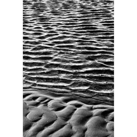 Texture Sand IX Black Modern Wood Framed Art Print with Double Matting by Peterson, Lee