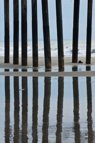 Pier Pilings II2 White Modern Wood Framed Art Print with Double Matting by Peterson, Lee