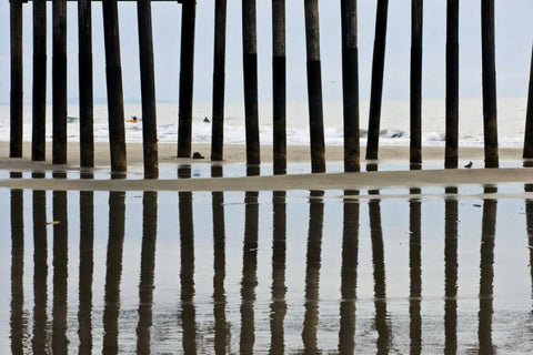 Pier Pilings II3 Black Ornate Wood Framed Art Print with Double Matting by Peterson, Lee