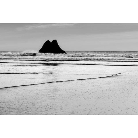 Beach Reflection V Black Modern Wood Framed Art Print with Double Matting by Peterson, Lee