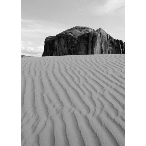 Sand Dune White Modern Wood Framed Art Print by Peterson, Lee