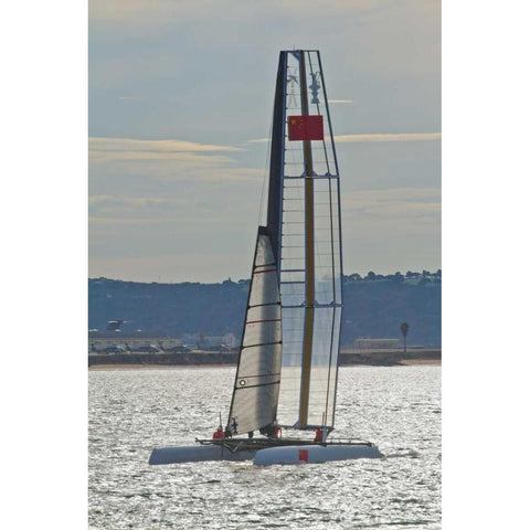 Americas Cup II White Modern Wood Framed Art Print by Peterson, Lee