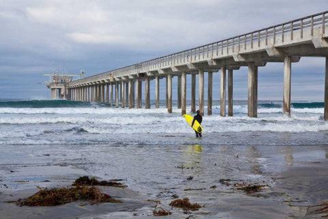 Scripps Pier I Black Ornate Wood Framed Art Print with Double Matting by Peterson, Lee