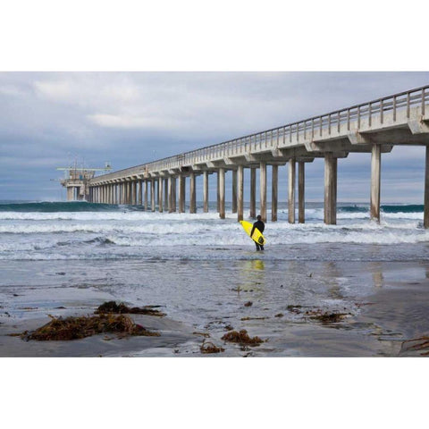 Scripps Pier I Black Modern Wood Framed Art Print with Double Matting by Peterson, Lee