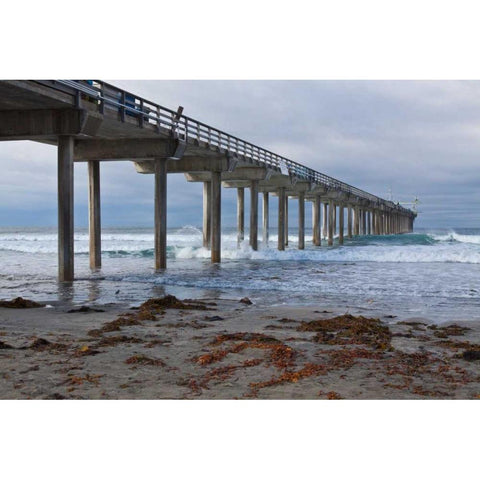 Scripps Pier II White Modern Wood Framed Art Print by Peterson, Lee