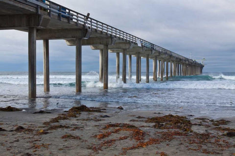 Scripps Pier II White Modern Wood Framed Art Print with Double Matting by Peterson, Lee