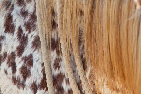 Horse Up Close II White Modern Wood Framed Art Print with Double Matting by Peterson, Lee