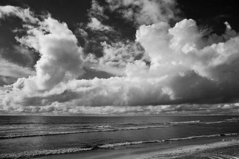 Clouds at the Beach White Modern Wood Framed Art Print with Double Matting by Peterson, Lee