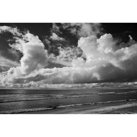 Clouds at the Beach Black Modern Wood Framed Art Print with Double Matting by Peterson, Lee