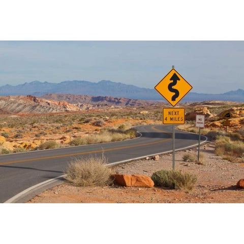 Desert Roads I Black Modern Wood Framed Art Print with Double Matting by Peterson, Lee