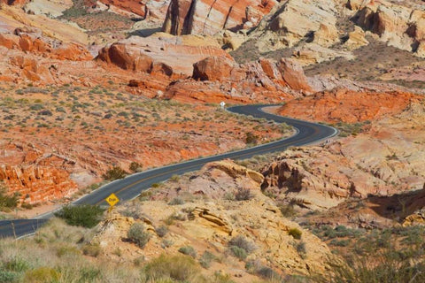 Desert Roads II Black Ornate Wood Framed Art Print with Double Matting by Peterson, Lee