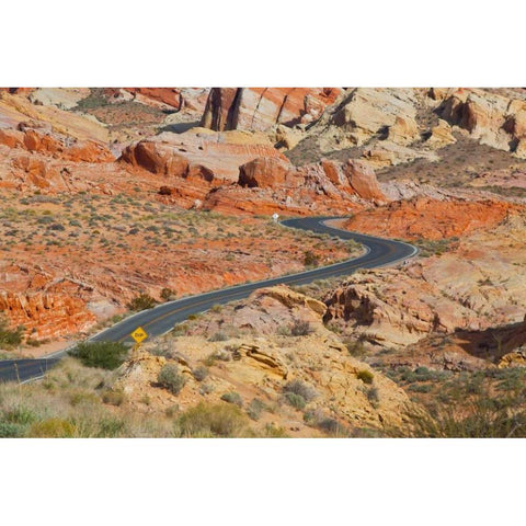 Desert Roads II Gold Ornate Wood Framed Art Print with Double Matting by Peterson, Lee