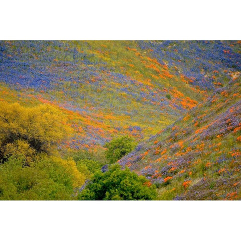 Wildflower Hills II Gold Ornate Wood Framed Art Print with Double Matting by Peterson, Lee