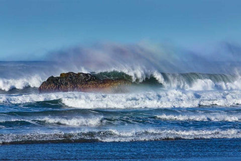 Cayucos Waves I Black Ornate Wood Framed Art Print with Double Matting by Peterson, Lee