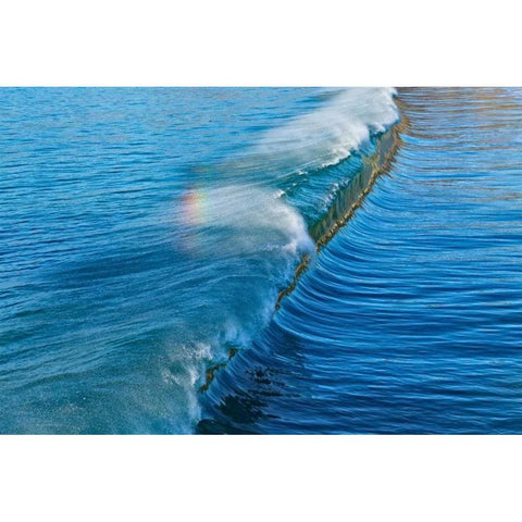 Rainbow Wave I Gold Ornate Wood Framed Art Print with Double Matting by Peterson, Lee