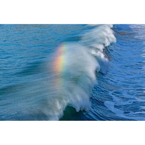 Rainbow Wave II White Modern Wood Framed Art Print by Peterson, Lee