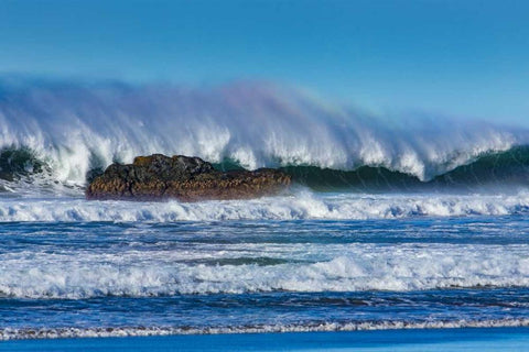 Waves in Cayucos I Black Ornate Wood Framed Art Print with Double Matting by Peterson, Lee