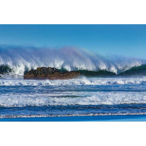 Waves in Cayucos I Gold Ornate Wood Framed Art Print with Double Matting by Peterson, Lee