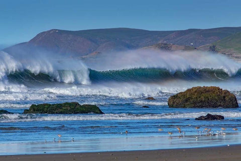 Waves in Cayucos II Black Ornate Wood Framed Art Print with Double Matting by Peterson, Lee