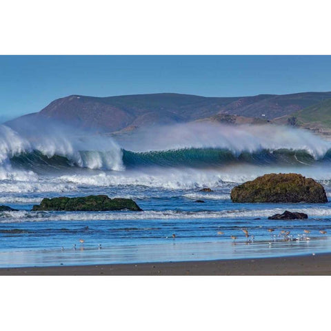 Waves in Cayucos II White Modern Wood Framed Art Print by Peterson, Lee