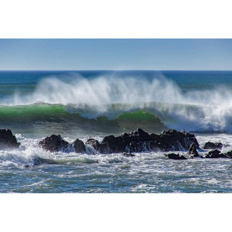 North Cayucos IV Black Modern Wood Framed Art Print by Peterson, Lee