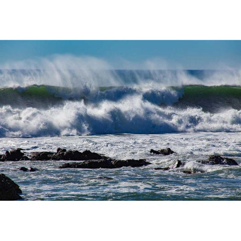 North Cayucos V Black Modern Wood Framed Art Print with Double Matting by Peterson, Lee