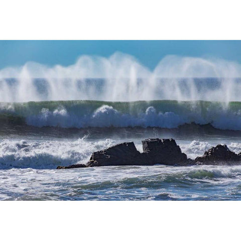 North Cayucos VI Black Modern Wood Framed Art Print with Double Matting by Peterson, Lee