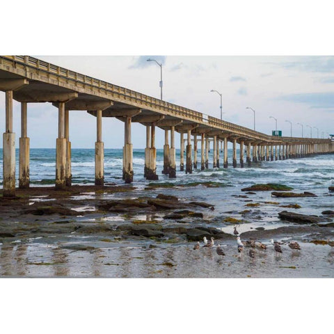 Ocean Beach Pier I Gold Ornate Wood Framed Art Print with Double Matting by Peterson, Lee