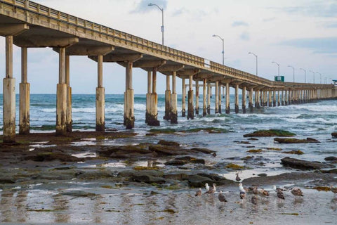 Ocean Beach Pier I Black Ornate Wood Framed Art Print with Double Matting by Peterson, Lee