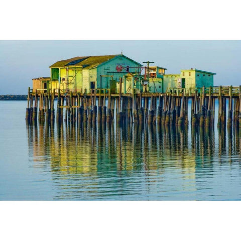 Half Moon Bay Pier Black Modern Wood Framed Art Print with Double Matting by Peterson, Lee
