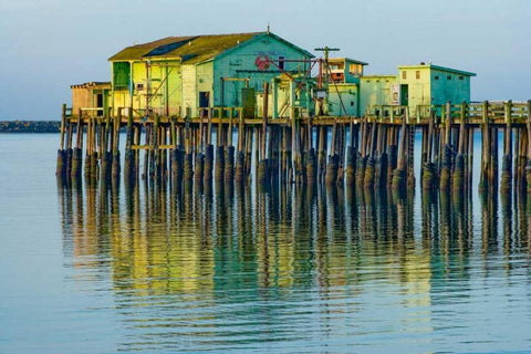 Half Moon Bay Pier White Modern Wood Framed Art Print with Double Matting by Peterson, Lee