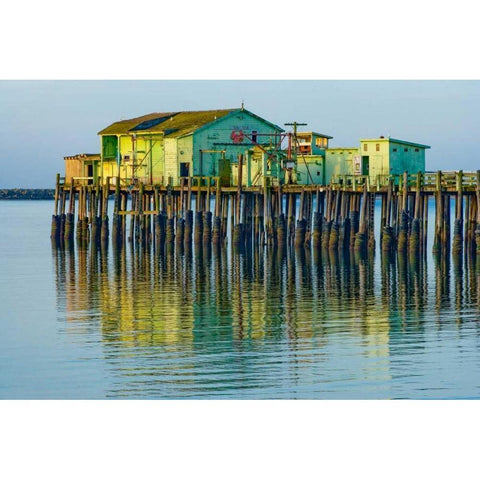 Half Moon Bay Pier White Modern Wood Framed Art Print by Peterson, Lee